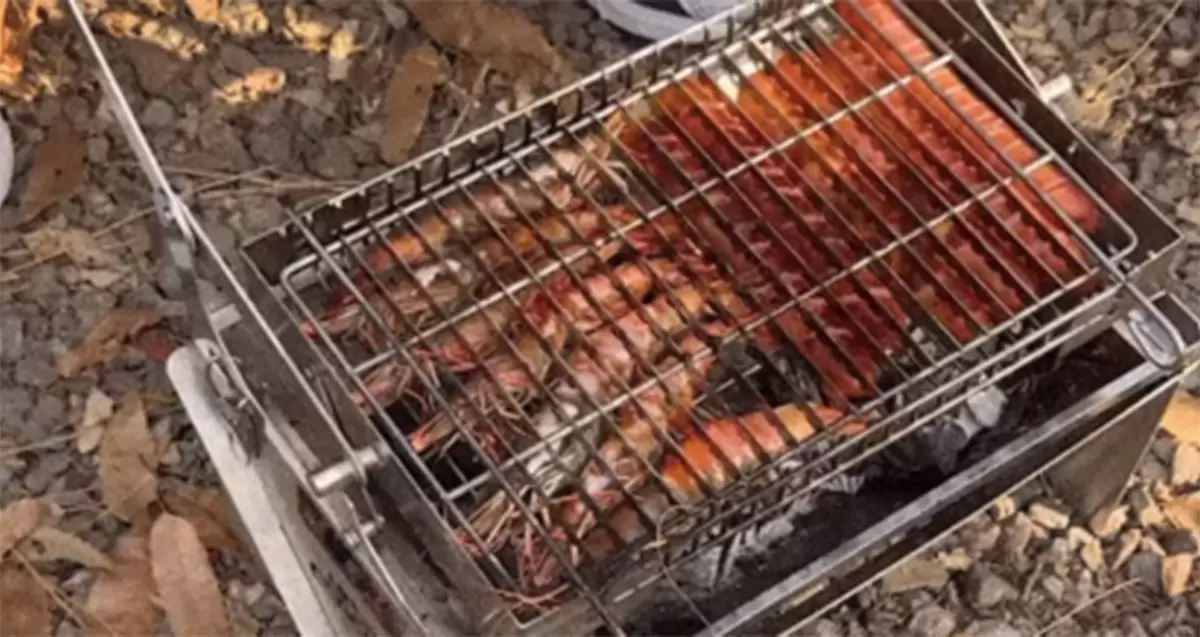 La parrilla de barbacoa giratoria y plegable desencadena la ola coreana de camping